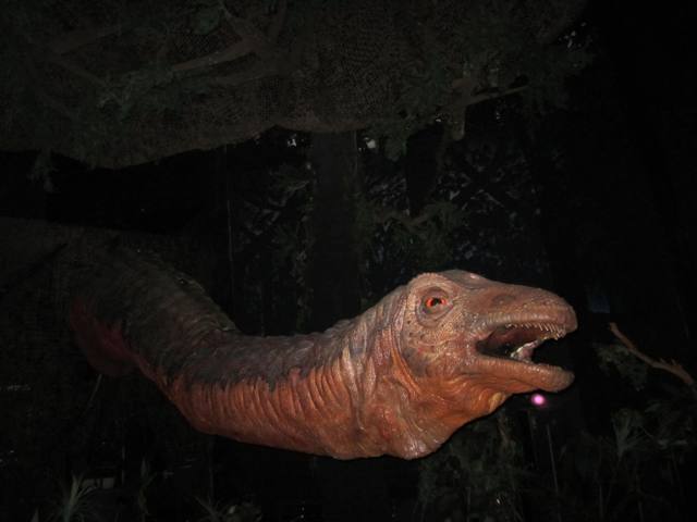 dinosaur-ride-dinoland-animal-kingdom-vacation-pictures-disney-world